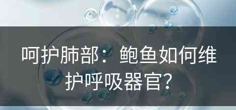 呵护肺部：鲍鱼如何维护呼吸器官？